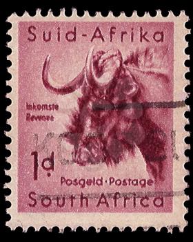 Royalty Free Photo of a South African Stamp