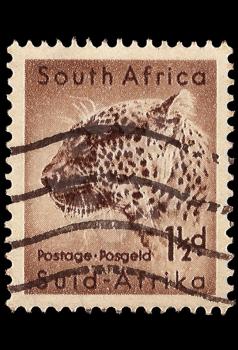Royalty Free Photo of a Leopard Stamp