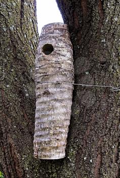 Royalty Free Photo of a Sisal Nesting Log for Woodpeckers 