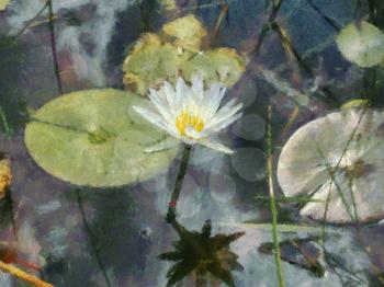 Royalty Free Photo of a Painting of a Water Lily