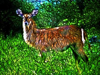 Royalty Free Photo of a Painting of a Waterbuck Ewe