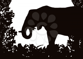 Elephant in Isolated bush or jungle frame Vector (EPS)