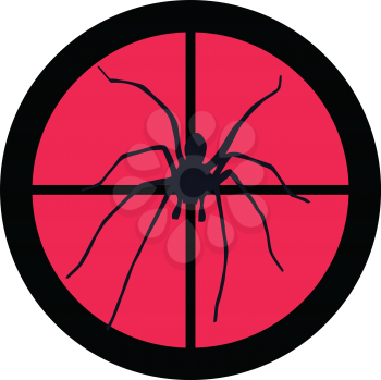 In the scope series – Spider in the crosshair of a gun’s telescope. Can be symbolic for need of protection, being tired of, intolerance or being under investigation.
