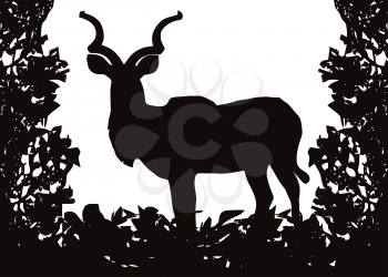 Kudu (Koedoe) in Isolated bush or jungle frame Vector (EPS)