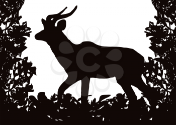 Kudu (Koedoe) in Isolated bush or jungle frame Vector (EPS)