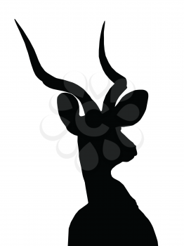 Portrait Picture of Large Kudu Bull Isolated Silhouette