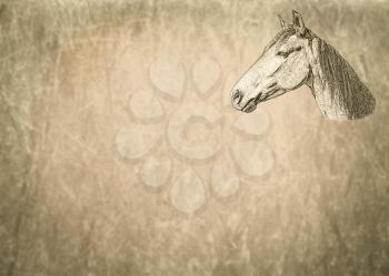 Large Sepia Toned Horse Portrait on Textured Blank Text Page