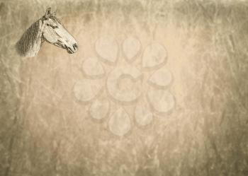 Small Sepia Toned Horse Portrait on Textured Blank Text Page
