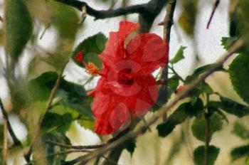 Painting of Bright Red Hibuscus Bloom in Sunlight