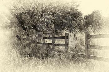 Sepia Tone Old Wooden Farm Fence in Winter Grass Illustration
