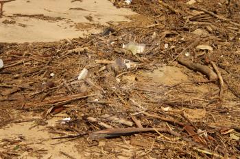 Picture of Waste Environmental Damage at Beach 