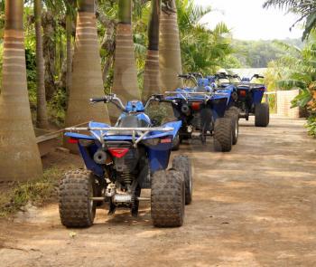 Picture of Blue Quad Bikes under Palm Trees