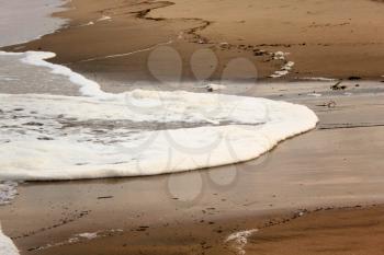 Picture of Foamy Wave with Debris on Beach