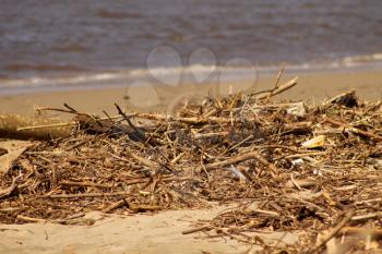Close-up Picture of Driftwood after High Tide Storm
