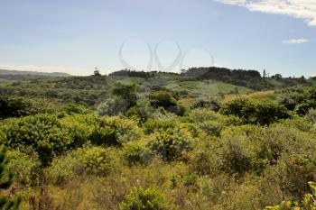 Green Hills of Kwazulu Natal in South Africa