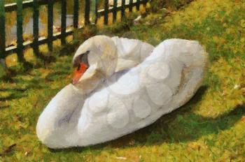 Painting of Beautiful Swan Laying on Grass 