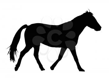 Detailed Portrait Silhouette of Large Horse Galloping