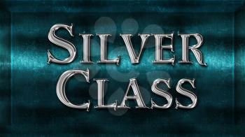 Realistic Chick Metal Silver Class Award Sign Emblem