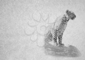 Greyscale Black and White Foldable Card Image of Young Leopard Posing on Branch on  Leather Type Textured Paper with Heading and Large Text Area