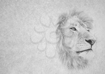 Greyscale Black and White Foldable Card Image of Lion Face Staring into Distance on  Leather Type Textured Paper with Heading and Large Text Area