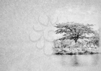 Greyscale Black and White Foldable Card Image of Stillife Tranquil Africa Lake with Thorn Tree on Leather Type Textured Paper with Heading and Large Text Area