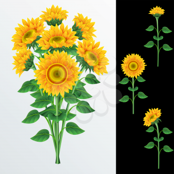 Royalty Free Clipart Image of a Background With a Bouquet of Sunflower and a Black Border With Sunflowers