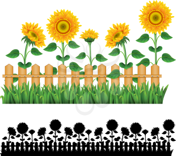 Royalty Free Clipart Image of a Sunflower Border and a Black and White Border