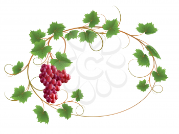 Royalty Free Clipart Image of a Grapevine