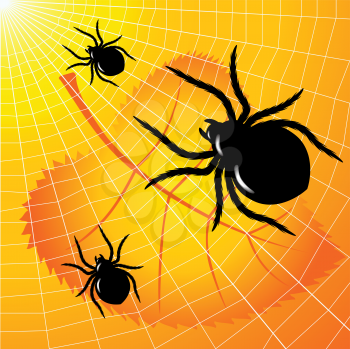 Royalty Free Clipart Image of a Spider Background