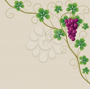 Royalty Free Clipart Image of a Grapevine on a Beige Background