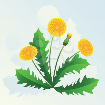 Royalty Free Clipart Image of Dandelions