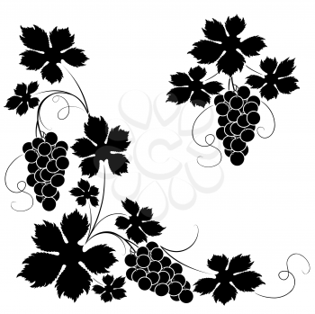 Royalty Free Clipart Image of a Grapevine