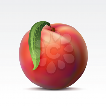 Royalty Free Clipart Image of a Ripe Peach