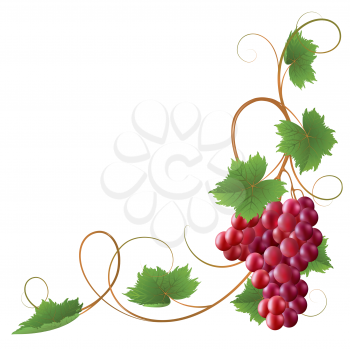 Royalty Free Clipart Image of a Grapevine Border