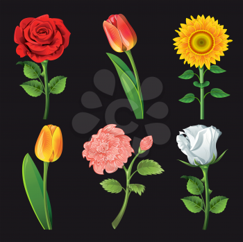 Royalty Free Clipart Image of Six Flowers