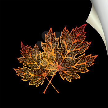 Royalty Free Clipart Image of Autumn Leaves on Black