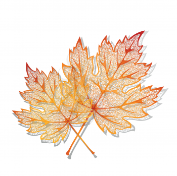 Royalty Free Clipart Image of Autumn Leaves