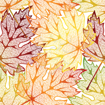 Royalty Free Clipart Image of a Autumn Leaf Background
