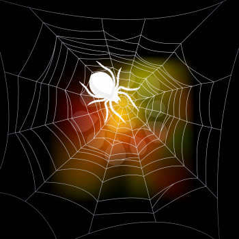 Royalty Free Clipart Image of Colours Behind a Spiderweb