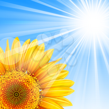 Summer background with blue sky and sunflower.Mesh. Clipping Mask.This file contains transparency.EPS10