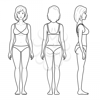 Vector illustration of a female figure - front, rear and side view in underwear
