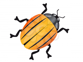 Royalty Free Clipart Image of a Colorado Beetle