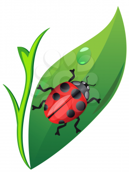 Royalty Free Clipart Image of a LadyBird