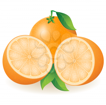 Royalty Free Clipart Image of an Orange