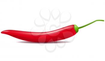 red hot chili pepper vector illustration isolated on white background