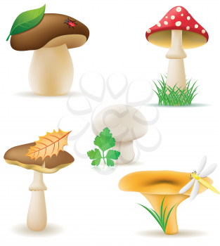 Royalty Free Clipart Image of a Mushroom Set