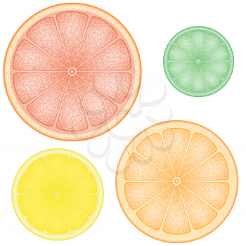 Royalty Free Clipart Image of Citrus Fruits