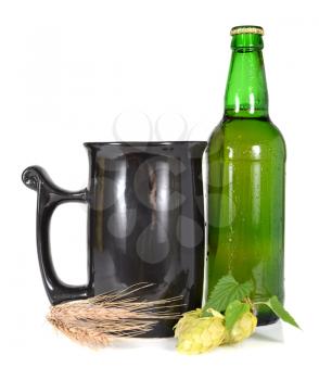 beer and hop isolated on white background