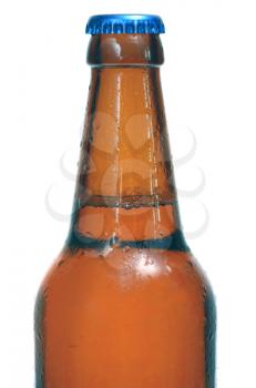 beer is in a bottle isolated on white background