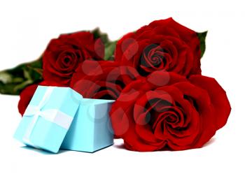 blue box for gifts and rose isolated on white background